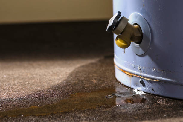Best 24-hour water damage restoration  in Phillipsburg, GA
