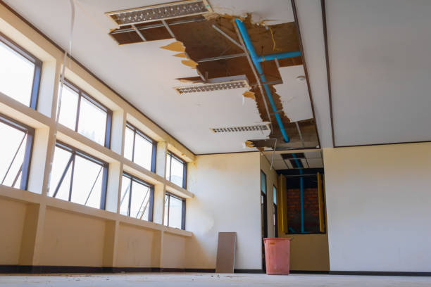Best Water damage restoration specialists  in Phillipsburg, GA