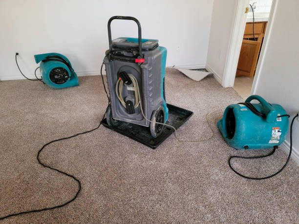 Best Water damage cleanup near me  in Phillipsburg, GA