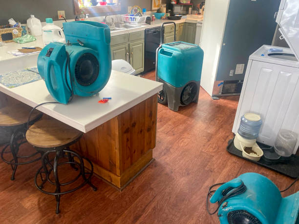  Phillipsburg, GA Water damage restoration Pros