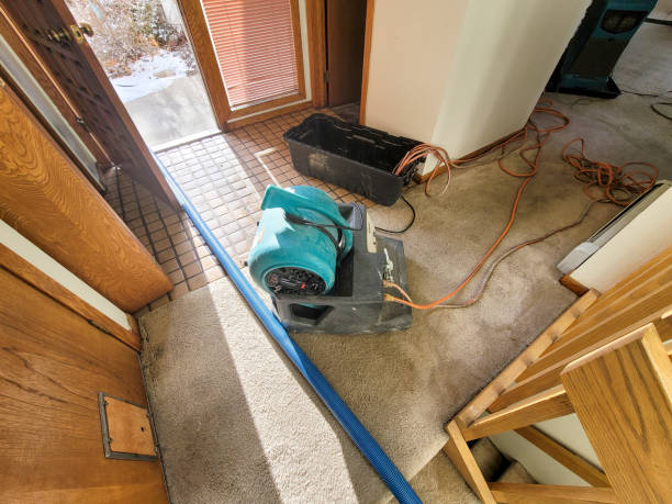 Best Fire Damage Restoration  in Phillipsburg, GA