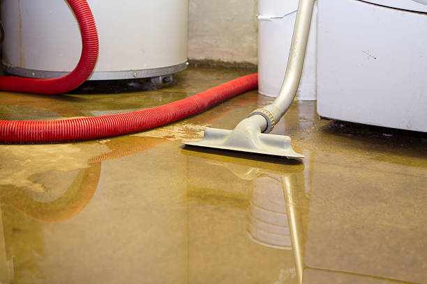 Best Professional water damage repair  in Phillipsburg, GA