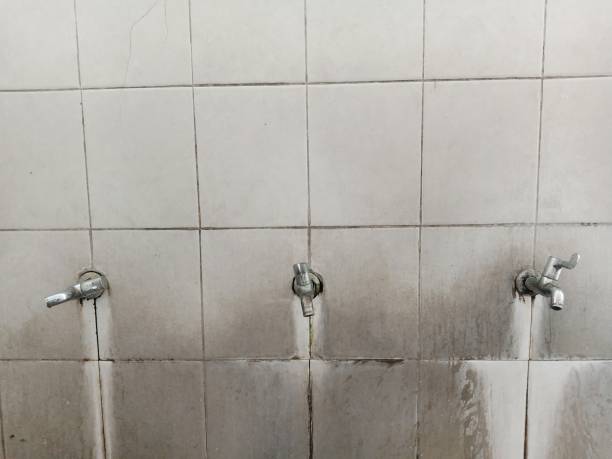 Best Emergency water damage restoration  in Phillipsburg, GA