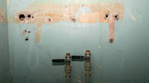 Best Flood restoration services  in Phillipsburg, GA