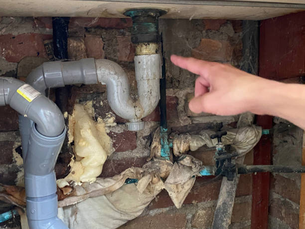 Best 24/7 water damage repair  in Phillipsburg, GA