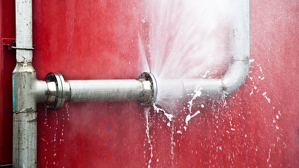 Best Mold removal after water damage  in Phillipsburg, GA